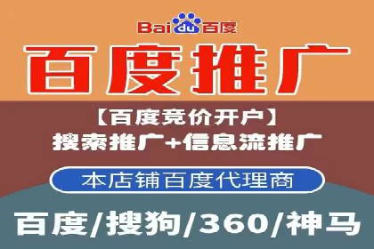 百度SEO推广案例解析与效果评估